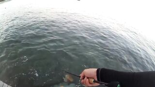 2015 12 27 Самет, light rock fishing (Ko Samet, Thailand)