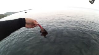 2015 12 27 Самет, light rock fishing (Ko Samet, Thailand)