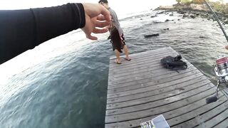 2015 12 27 Самет, light rock fishing (Ko Samet, Thailand)