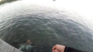 2015 12 27 Самет, light rock fishing (Ko Samet, Thailand)