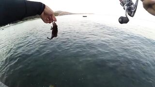 2015 12 27 Самет, light rock fishing (Ko Samet, Thailand)