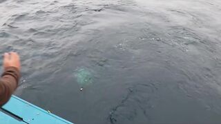 Как проходит Ночная морская рыбалка на Пхукете