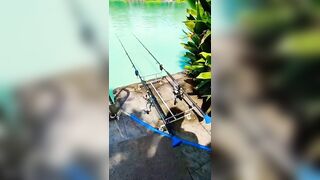 Samui Fishing Club & Resort, рыбалка и отдых
