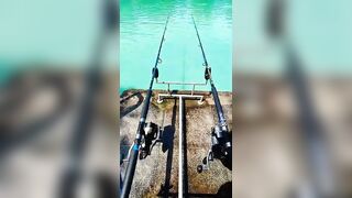 Samui Fishing Club & Resort, рыбалка и отдых