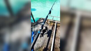 Samui Fishing Club & Resort, рыбалка и отдых
