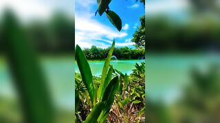 Samui Fishing Club & Resort, рыбалка и отдых