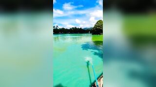 Samui Fishing Club & Resort, рыбалка и отдых