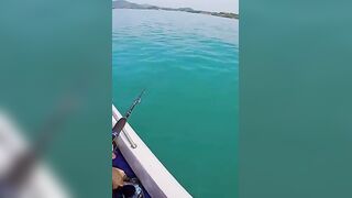 Big Mac у Ко Самуи, Таиланд, катушка почти пустая #fishing #glassoff #fishingworld #samuiseafishing