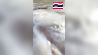 Fish Pandemic на Ко Самуи, Таиланд #travel #fishing #chaweng #beach #animal #thailand #pandemic