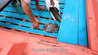 Ко Самуи, Таиланд, catch & cook, кобия и барракуда, с рецептами