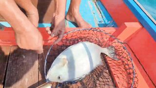 Ко Самуи, Таиланд, catch & cook, кобия и барракуда, с рецептами