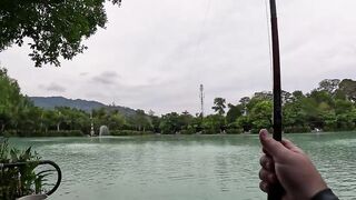 Ловим монстров в Samui Fishing Club & Resort, Ко Самуи, Таиланд