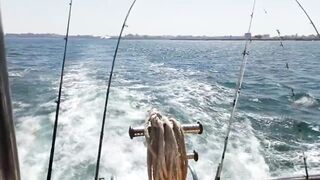 Египет, Александрия, набережная и городская рыбалка