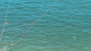 Нелегальная ловля сетью в центре Александрии, Египет / Fishing by fishnet in Alexandria