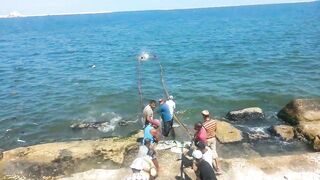 Нелегальная ловля сетью в центре Александрии, Египет / Fishing by fishnet in Alexandria