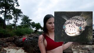 Остров Пхи Пхи, Таиланд, рыбалка, большая рыба собака фугу