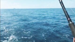 Морская рыбалка на островах Пхи Пхи // Sea Fishing Phi Phi 2022