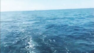 Морская рыбалка на островах Пхи Пхи // Sea Fishing Phi Phi 2022