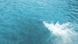 Морская рыбалка на островах Пхи Пхи // Sea Fishing Phi Phi 2022