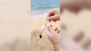 Сиамский залив, морская рыбалка #Таиланд #рыбалка