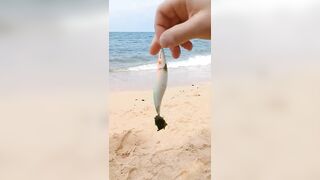 Сиамский залив, морская рыбалка #Таиланд #рыбалка