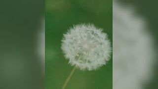 Рыбалка в Хуахине / Fishing in Hua Hin, трейлер