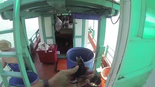 Рыбалка в Хуахине / Fishing in Hua Hin, трейлер