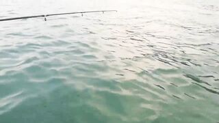 Как ловить рыбу на Самуи, Fishing in Koh Samui