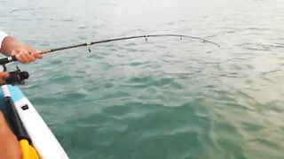 Как ловить рыбу на Самуи, Fishing in Koh Samui