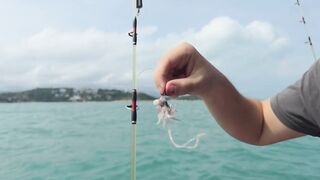 Морская рыбалка в Таиланде на Самуи / Sea fishing in Thailand on Samui