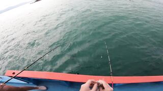 Морская рыбалка в Таиланде на Самуи / Sea fishing in Thailand on Samui