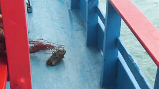 Морская рыбалка в Таиланде на Самуи / Sea fishing in Thailand on Samui