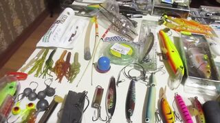 Морская рыбалка, Индия, юг Гоа, 2019, часть 1