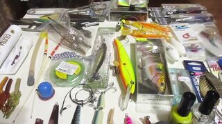 Морская рыбалка, Индия, юг Гоа, 2019, часть 1