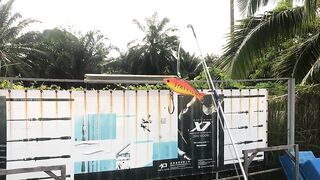 Fishing in Malaysia, KL, big grouper, vid 1