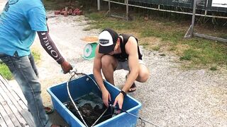 Fishing in Malaysia, KL, big grouper, vid 1