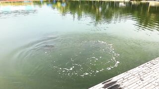 Fishing in Malaysia, KL, big grouper, vid 1