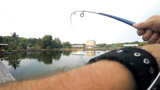 Fishing in Malaysia, KL, big grouper, vid 1