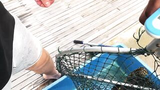 Fishing in Malaysia, KL, big grouper, vid 1