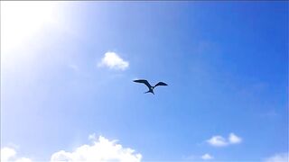 Рыбалка в Пунта Кане, Юра Рыбалкофф и Tyler McLaughlin из проекта Wicked Tuna