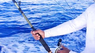 Рыбалка в Пунта Кане, Юра Рыбалкофф и Tyler McLaughlin из проекта Wicked Tuna