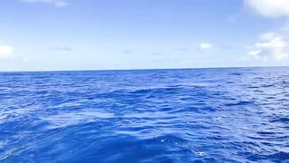 Рыбалка в Пунта Кане, ловим марлина, Доминиканская Республика