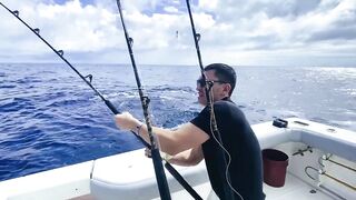 Рыбалка в Пунта Кане, ловим марлина, Доминиканская Республика
