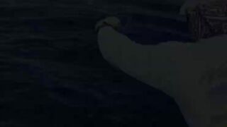 Рыбалка в Пунта Кане, ловим марлина, Доминиканская Республика