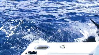 Рыбалка в Пунта Кане, ловим марлина, Доминиканская Республика