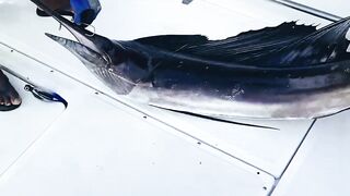 Рыбалка в Пунта Кане, ловим марлина, Доминиканская Республика