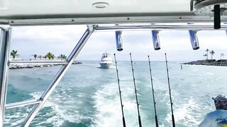 Рыбалка в Пунта Кане, ловим марлина, Доминиканская Республика