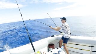 Рыбалка в Пунта Кане, ловим марлина, Доминиканская Республика