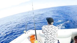 Рыбалка в Пунта Кане, ловим марлина, Доминиканская Республика