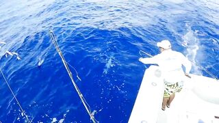 Рыбалка в Пунта Кане, ловим марлина, Доминиканская Республика